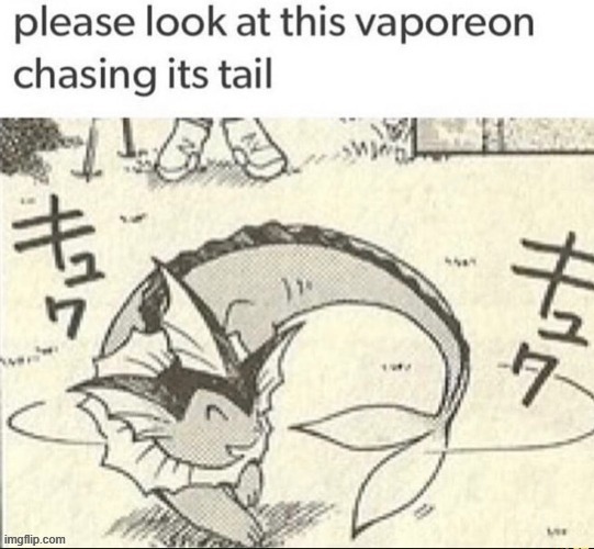 Cute | image tagged in vaporeon | made w/ Imgflip meme maker