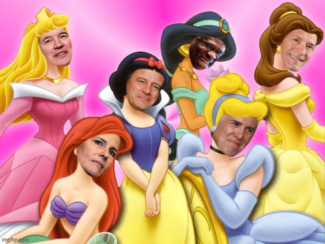 image tagged in memes,scotus,princesses,fascists,nazis,disney | made w/ Imgflip meme maker