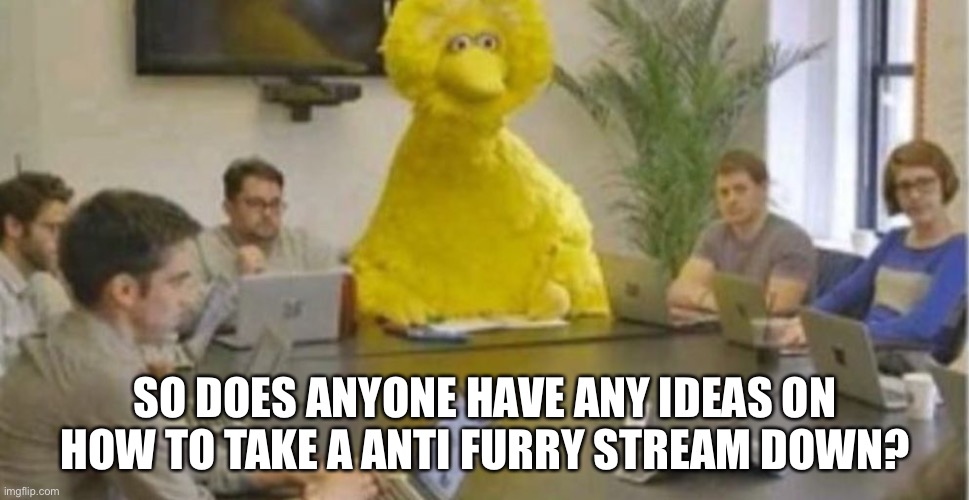 Any ideas??? | SO DOES ANYONE HAVE ANY IDEAS ON HOW TO TAKE A ANTI FURRY STREAM DOWN? | image tagged in big bird at meeting | made w/ Imgflip meme maker