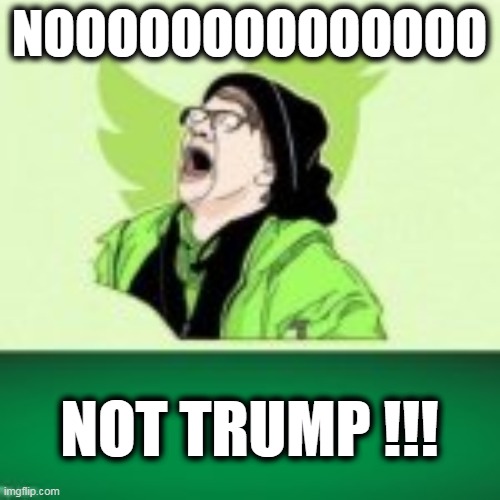 NOOOOOOOOOOOOOO NOT TRUMP !!! | made w/ Imgflip meme maker