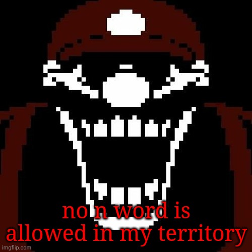 no n word is allowed in my territory | image tagged in mx stare | made w/ Imgflip meme maker