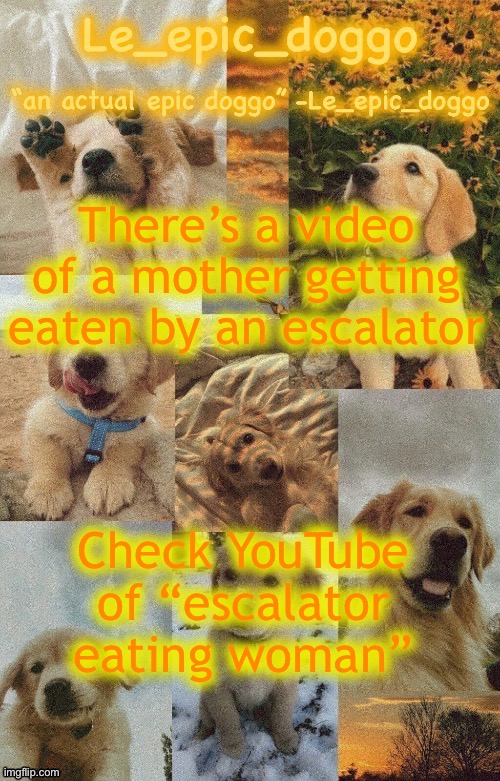 Doggo temp by doggo. Wait what that’s confusing | There’s a video of a mother getting eaten by an escalator; Check YouTube of “escalator eating woman” | image tagged in doggo temp by doggo wait what that s confusing | made w/ Imgflip meme maker