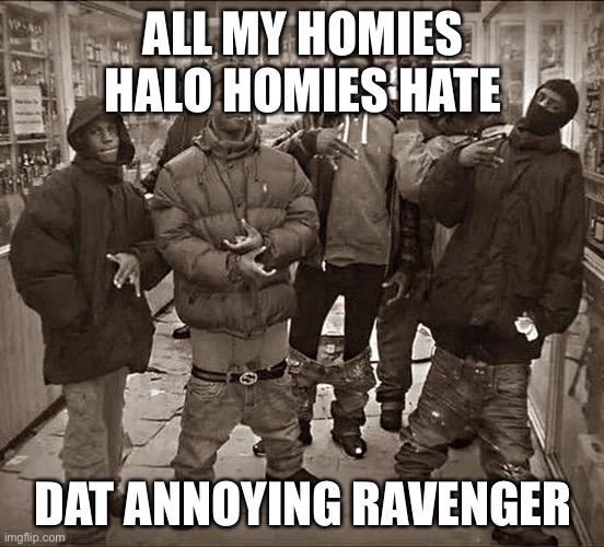 All My Homies Hate |  ALL MY HOMIES HALO HOMIES HATE; DAT ANNOYING RAVENGER | image tagged in all my homies hate | made w/ Imgflip meme maker