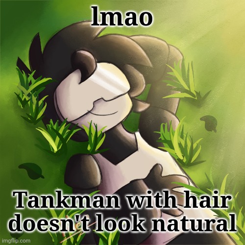 Tankman on the grass, what will he do | lmao; Tankman with hair doesn't look natural | image tagged in tankman on the grass what will he do | made w/ Imgflip meme maker
