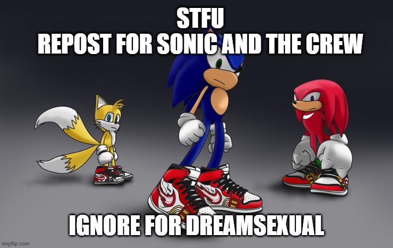 repost for sonic and the crew | STFU
REPOST FOR SONIC AND THE CREW; IGNORE FOR DREAMSEXUAL | image tagged in sonic the hedgehog | made w/ Imgflip meme maker