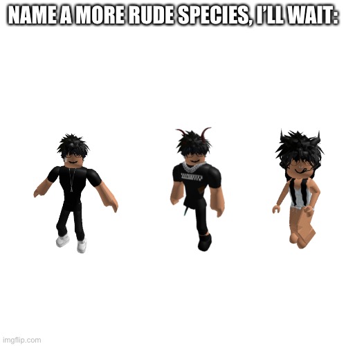 BLANK | NAME A MORE RUDE SPECIES, I’LL WAIT: | image tagged in blank | made w/ Imgflip meme maker