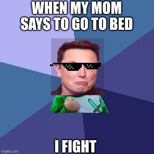 memmmmmmmmme musk | WHEN MY MOM SAYS TO GO TO BED; I FIGHT | image tagged in memes,success kid | made w/ Imgflip meme maker