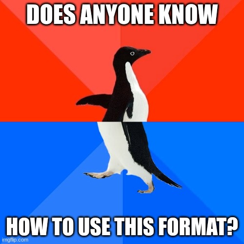 I don't know |  DOES ANYONE KNOW; HOW TO USE THIS FORMAT? | image tagged in memes,socially awesome awkward penguin | made w/ Imgflip meme maker