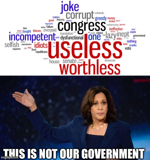 Kamala Harris | THIS IS NOT OUR GOVERNMENT | image tagged in defend government,kamala harris | made w/ Imgflip meme maker