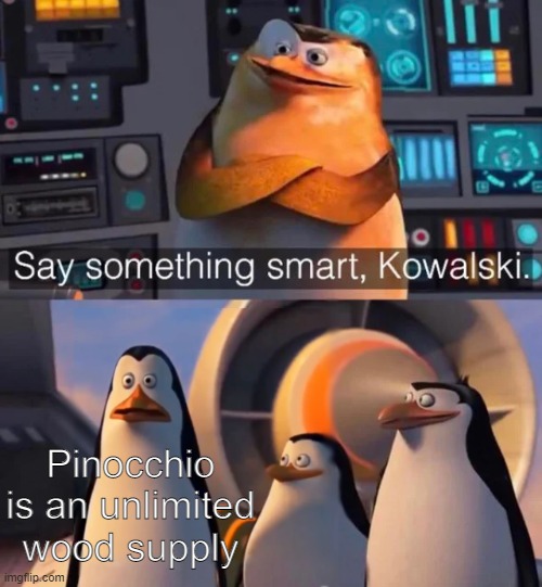 Say something smart Kowalski | Pinocchio is an unlimited wood supply | image tagged in say something smart kowalski | made w/ Imgflip meme maker