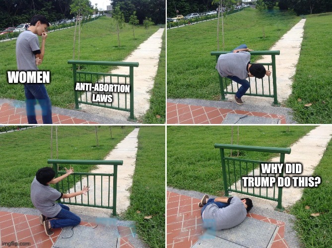WHY DID TRUMP DO THIS? | made w/ Imgflip meme maker