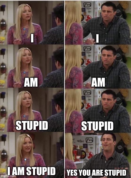 Phoebe Joey | I; I; AM; AM; STUPID; STUPID; I AM STUPID; YES YOU ARE STUPID | image tagged in phoebe joey | made w/ Imgflip meme maker