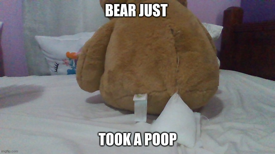 goofy ahh bear | BEAR JUST; TOOK A POOP | image tagged in funny,new memes | made w/ Imgflip meme maker