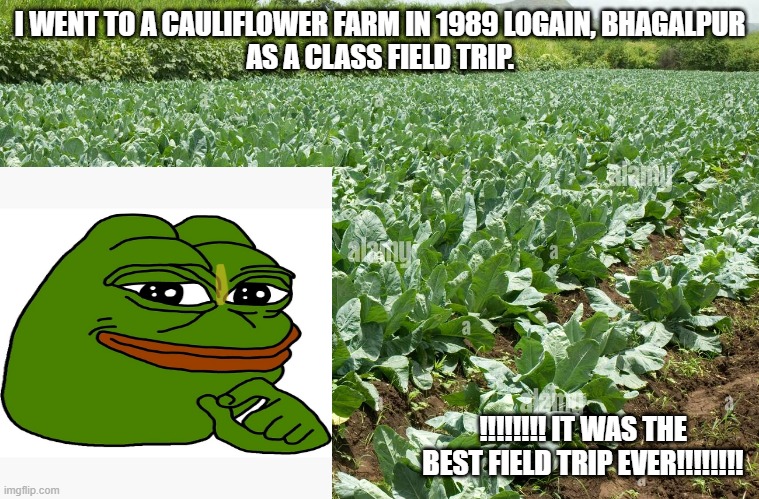 Cauliflower Farmer | I WENT TO A CAULIFLOWER FARM IN 1989 LOGAIN, BHAGALPUR
AS A CLASS FIELD TRIP. !!!!!!!! IT WAS THE BEST FIELD TRIP EVER!!!!!!!! | made w/ Imgflip meme maker