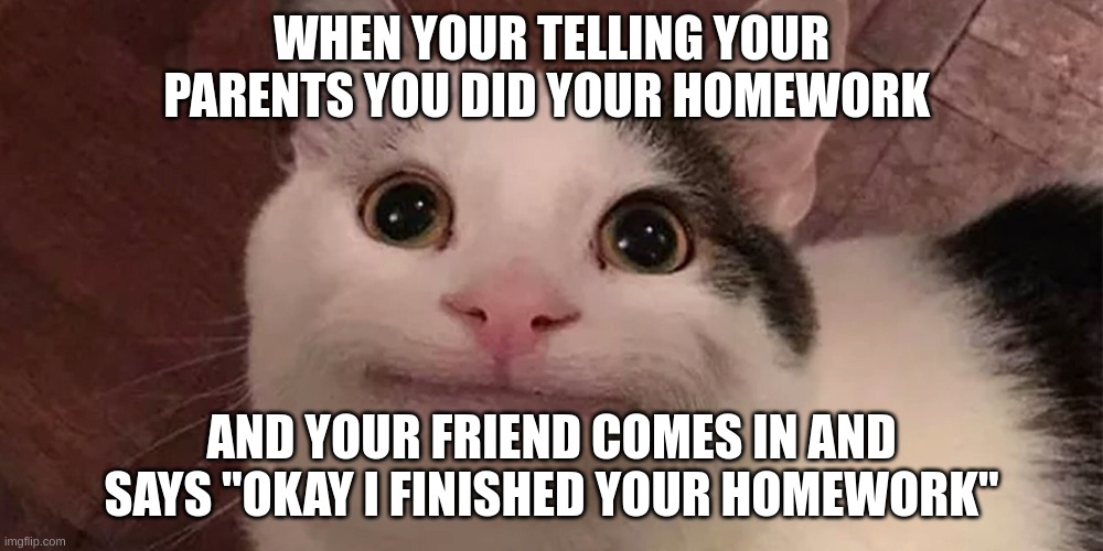 BelugaCat | WHEN YOUR TELLING YOUR PARENTS YOU DID YOUR HOMEWORK; AND YOUR FRIEND COMES IN AND SAYS "OKAY I FINISHED YOUR HOMEWORK" | image tagged in belugacat | made w/ Imgflip meme maker