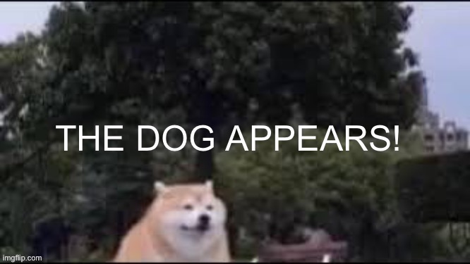 epic doggo appears | image tagged in epic doggo appears | made w/ Imgflip meme maker