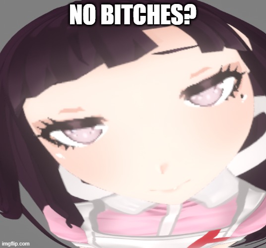 no bitches? but mikan | NO BITCHES? | image tagged in danganronpa,zamn,nobitches | made w/ Imgflip meme maker
