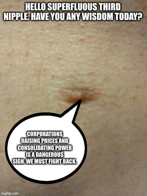 I've listed things we can do. | HELLO SUPERFLUOUS THIRD NIPPLE. HAVE YOU ANY WISDOM TODAY? CORPORATIONS RAISING PRICES AND CONSOLIDATING POWER IS A DANGEROUS SIGN. WE MUST FIGHT BACK. | image tagged in sezmo's third nipple | made w/ Imgflip meme maker