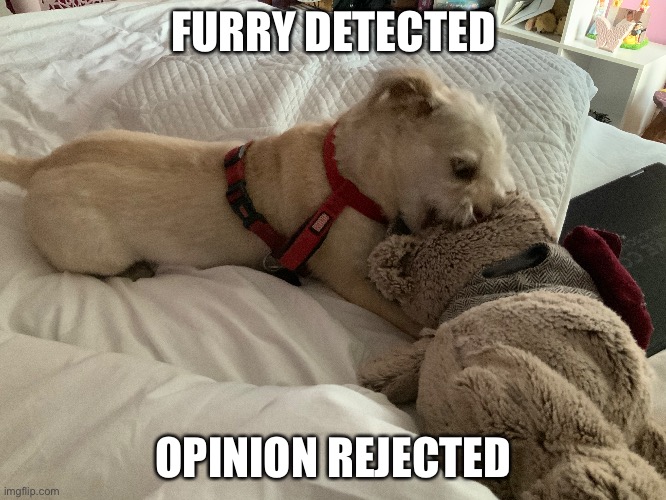 FURRY DETECTED; OPINION REJECTED | made w/ Imgflip meme maker