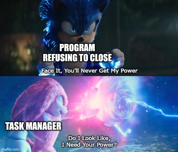 End Task |  PROGRAM REFUSING TO CLOSE; TASK MANAGER | image tagged in do i look like i need your power meme,memes,task failed successfully | made w/ Imgflip meme maker