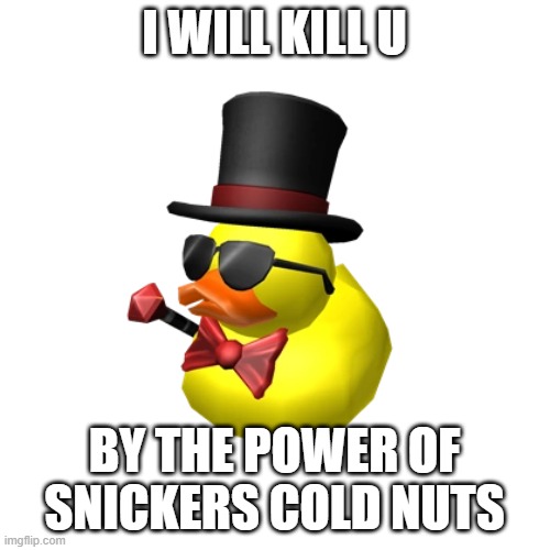 ever herd this | I WILL KILL U; BY THE POWER OF SNICKERS COLD NUTS | image tagged in duck | made w/ Imgflip meme maker