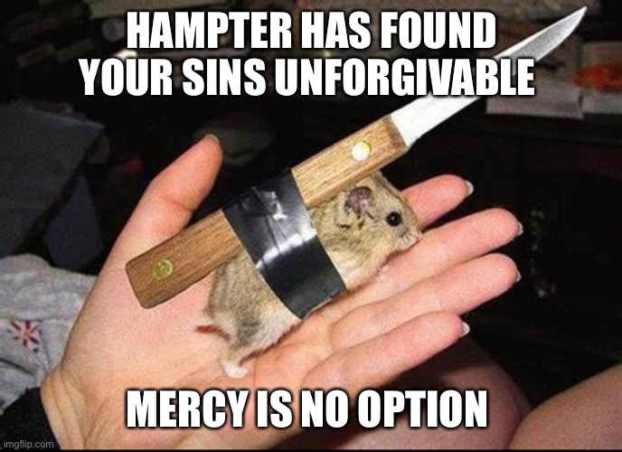 HAMPTER HAS FOUND YOUR SINS UNFORGIVABLE; MERCY IS NO OPTION | image tagged in funny,memes | made w/ Imgflip meme maker