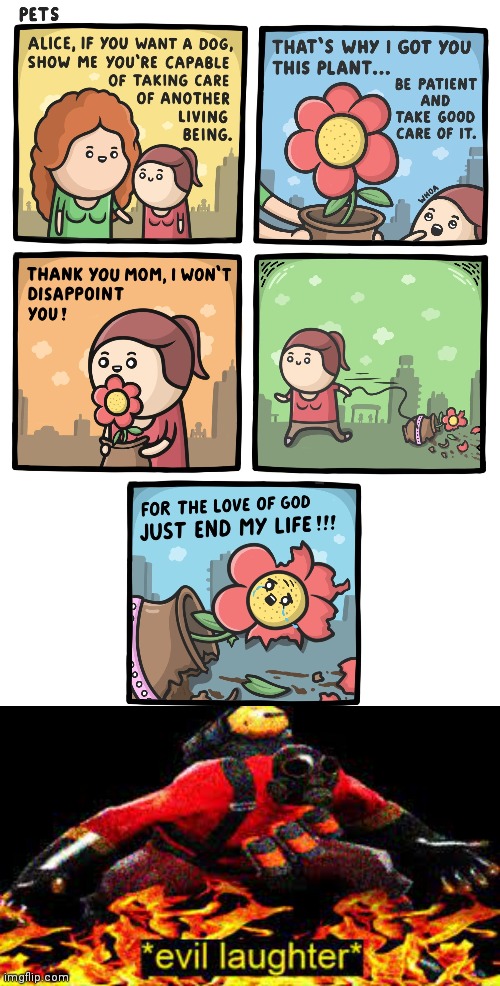Flower | image tagged in evil laughter,flowers,flower,memes,comic,plant | made w/ Imgflip meme maker