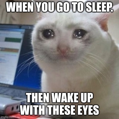 Crying cat |  WHEN YOU GO TO SLEEP. THEN WAKE UP WITH THESE EYES | image tagged in crying cat | made w/ Imgflip meme maker