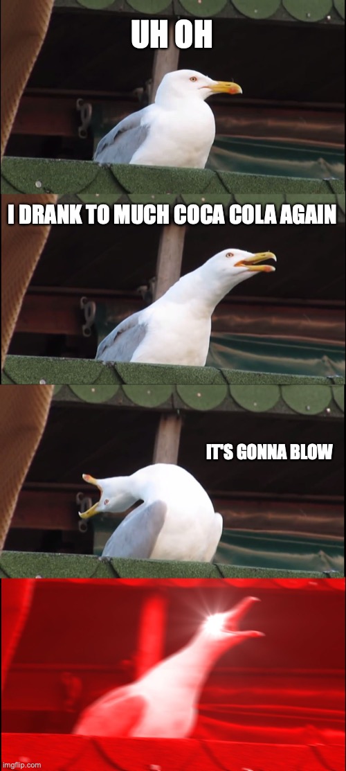 Inhaling Seagull | UH OH; I DRANK TO MUCH COCA COLA AGAIN; IT'S GONNA BLOW | image tagged in memes,inhaling seagull | made w/ Imgflip meme maker