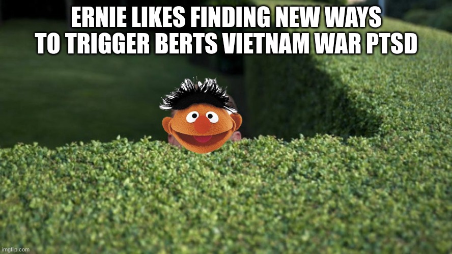 meme | ERNIE LIKES FINDING NEW WAYS TO TRIGGER BERTS VIETNAM WAR PTSD | image tagged in ernie prepares to commit a hate crime,funny,vietnam | made w/ Imgflip meme maker