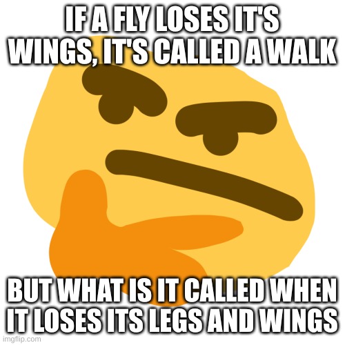Thonk but its another similar and shitty version | IF A FLY LOSES IT'S WINGS, IT'S CALLED A WALK BUT WHAT IS IT CALLED WHEN IT LOSES ITS LEGS AND WINGS | image tagged in thonk but its another similar and shitty version | made w/ Imgflip meme maker