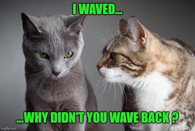 You Didn't Share ?!?! | I WAVED... ...WHY DIDN'T YOU WAVE BACK ? | image tagged in you didn't share | made w/ Imgflip meme maker