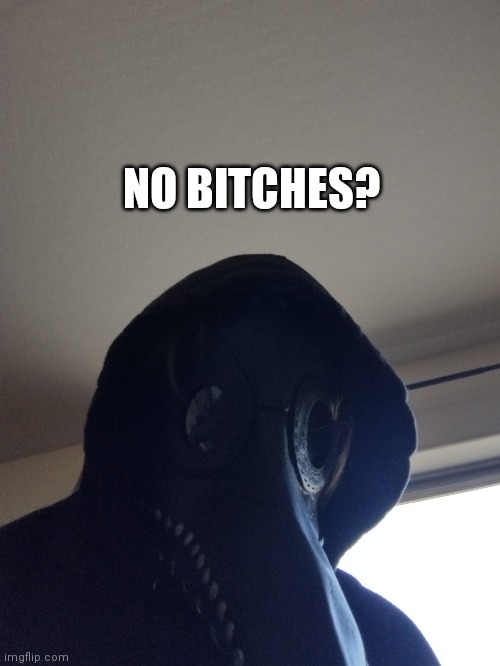 R u maidenless? | NO BITCHES? | image tagged in no bitches,plague doctor | made w/ Imgflip meme maker