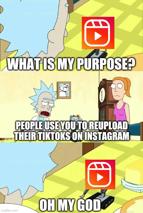 Agree or disagree? | WHAT IS MY PURPOSE? PEOPLE USE YOU TO REUPLOAD THEIR TIKTOKS ON INSTAGRAM; OH MY GOD | image tagged in what's my purpose - butter robot,instagram,instagram reels,tiktok,reels,memes | made w/ Imgflip meme maker