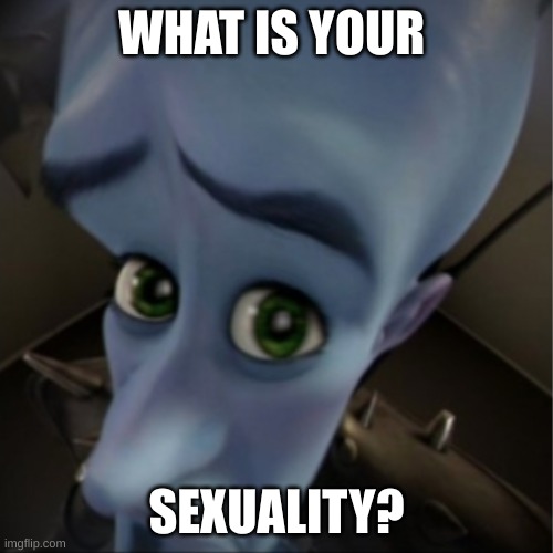 Megamind peeking | WHAT IS YOUR; SEXUALITY? | image tagged in megamind peeking | made w/ Imgflip meme maker