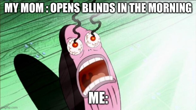 AHHH |  MY MOM : OPENS BLINDS IN THE MORNING; ME: | image tagged in spongebob my eyes,funy memes,lol,funny memes,memes,fun | made w/ Imgflip meme maker