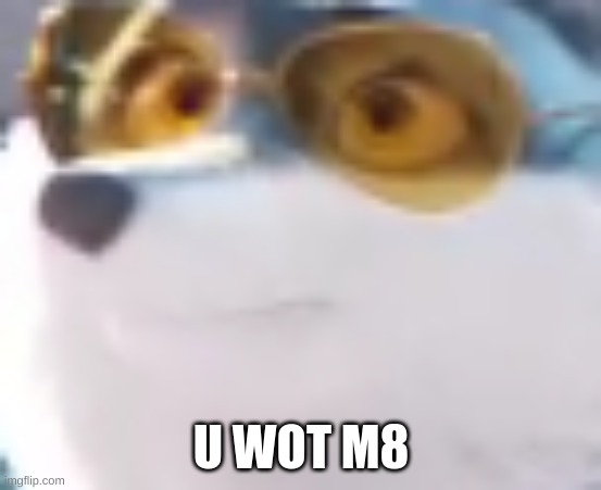 U WOT M8 | made w/ Imgflip meme maker