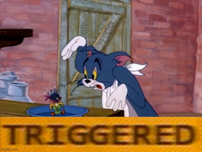 Tom Gets Triggered! | image tagged in tom and jerry tom horrified,tom and jerry,triggered,i'm triggered | made w/ Imgflip meme maker