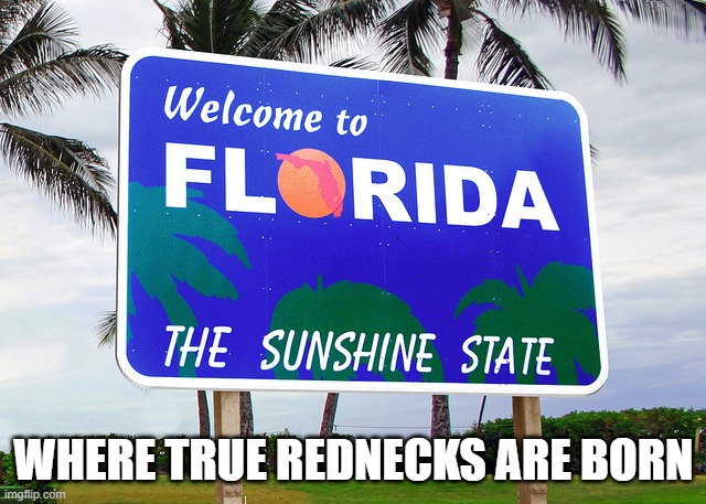 Florida Sign | WHERE TRUE REDNECKS ARE BORN | image tagged in florida,funny meme | made w/ Imgflip meme maker