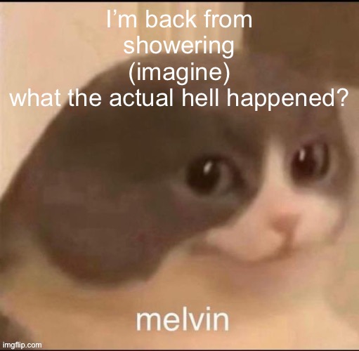 melvin | I’m back from showering (imagine)
what the actual hell happened? | image tagged in melvin | made w/ Imgflip meme maker