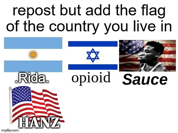 Flag | HANZ | made w/ Imgflip meme maker