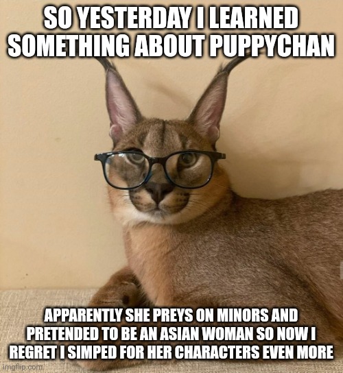 floppa glasses | SO YESTERDAY I LEARNED SOMETHING ABOUT PUPPYCHAN; APPARENTLY SHE PREYS ON MINORS AND PRETENDED TO BE AN ASIAN WOMAN SO NOW I REGRET I SIMPED FOR HER CHARACTERS EVEN MORE | image tagged in floppa glasses | made w/ Imgflip meme maker