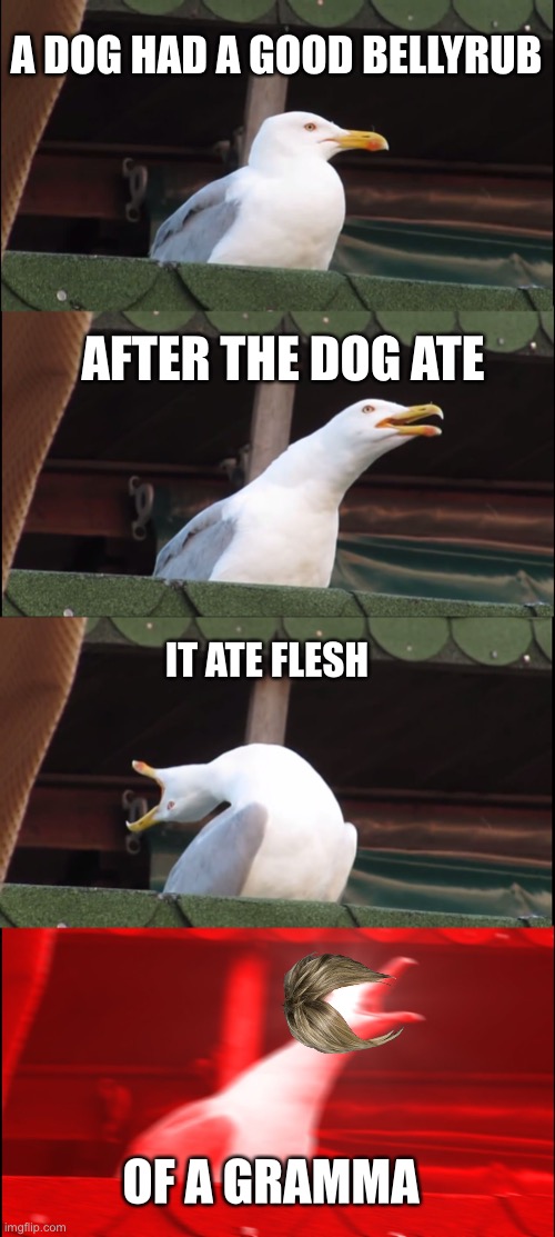 Inhaling Seagull Meme | A DOG HAD A GOOD BELLYRUB AFTER THE DOG ATE IT ATE FLESH OF A GRAMMA | image tagged in memes,inhaling seagull | made w/ Imgflip meme maker
