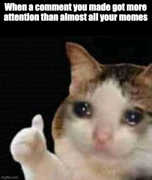 When |  When a comment you made got more attention than almost all your memes | image tagged in sad thumbs up cat | made w/ Imgflip meme maker