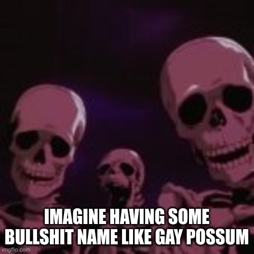 . | IMAGINE HAVING SOME BULLSHIT NAME LIKE GAY POSSUM | made w/ Imgflip meme maker