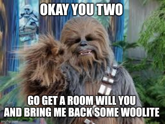 Chewbacca laughing | OKAY YOU TWO GO GET A ROOM WILL YOU 
AND BRING ME BACK SOME WOOLITE | image tagged in chewbacca laughing | made w/ Imgflip meme maker