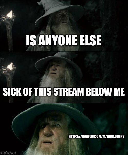 Yes, Gandalf, yes | IS ANYONE ELSE; SICK OF THIS STREAM BELOW ME; HTTPS://IMGFLIP.COM/M/DOGLOVERS | image tagged in memes,confused gandalf | made w/ Imgflip meme maker