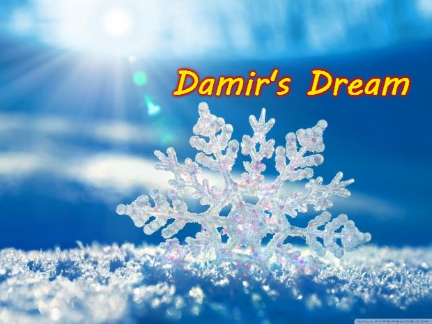 snowflake | Damir's Dream | image tagged in snowflake,damir's dream | made w/ Imgflip meme maker