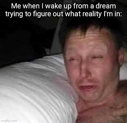 *mumbles sleepily* | Me when I wake up from a dream trying to figure out what reality I'm in: | image tagged in sleepy guy,wake up,dreams,tired,sleep | made w/ Imgflip meme maker