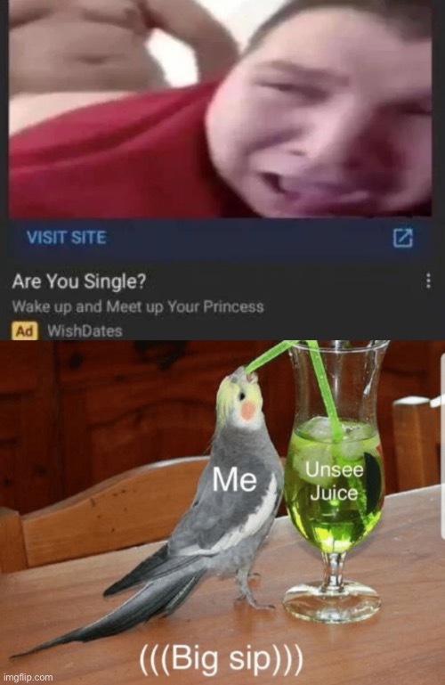Suffer (I HATE REDDIT FOR THIS) | image tagged in unsee juice | made w/ Imgflip meme maker